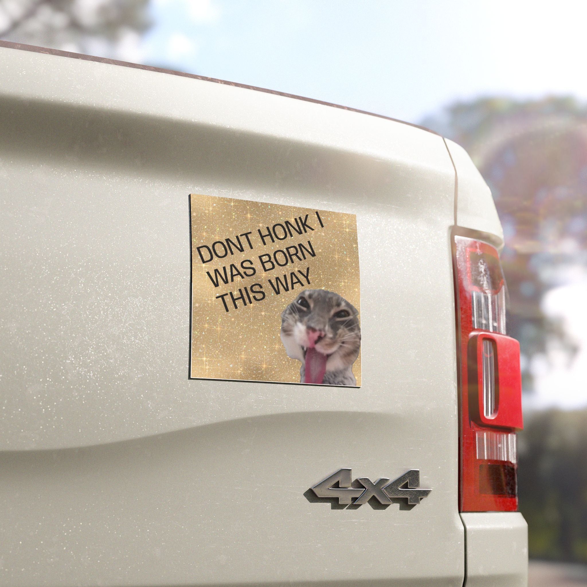 Dont Honk I Was Born This Way Car Magnet – Funny Cat Car Magnet, Humorous Road Safety Sticker Alternative