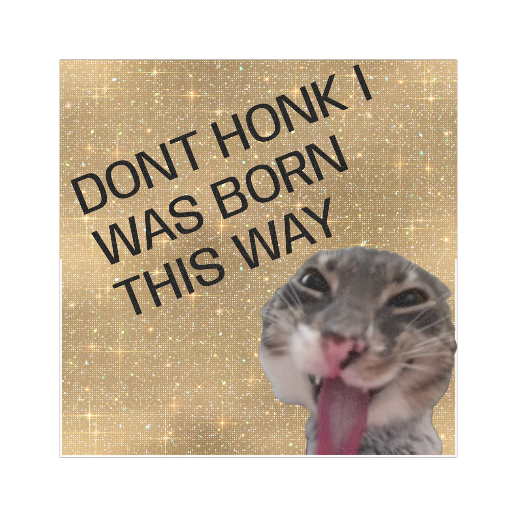 Dont Honk I Was Born This Way Car Magnet – Funny Cat Car Magnet, Humorous Road Safety Sticker Alternative