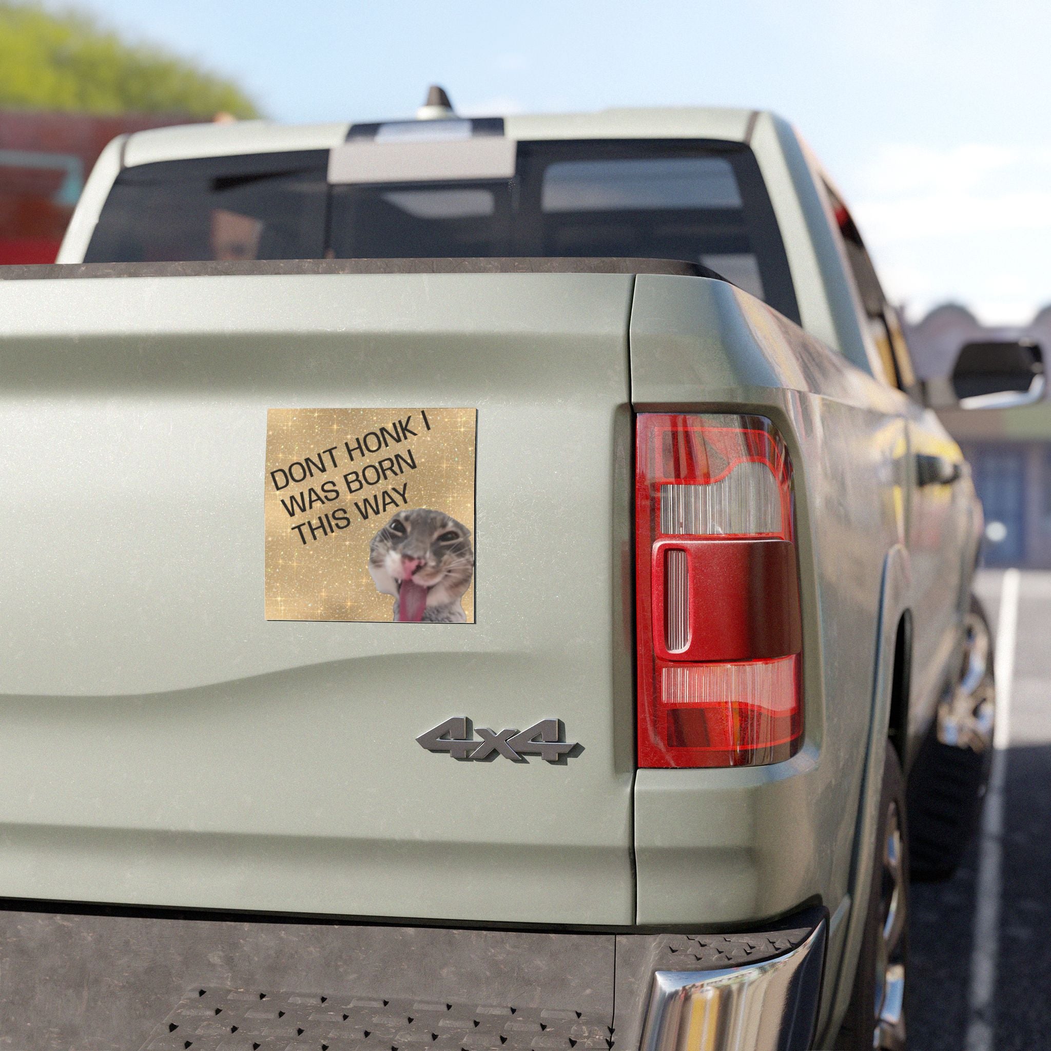 Dont Honk I Was Born This Way Car Magnet – Funny Cat Car Magnet, Humorous Road Safety Sticker Alternative